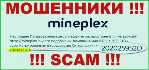 Номер регистрации очередной неправомерно действующей компании MinePlex Io - 202025952D