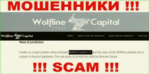 Юр. лицо организации Wolfline Capital - это ООО Волфлайн Капитал
