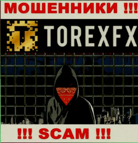 Torex FX скрывают данные о Администрации организации