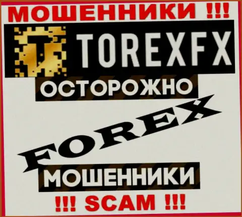 Область деятельности Торекс ФХ: FOREX - хороший заработок для internet лохотронщиков