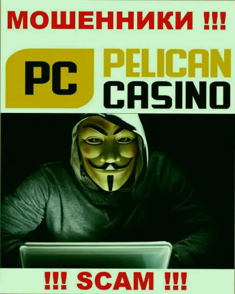Люди руководящие компанией Pelican Casino предпочитают о себе не афишировать