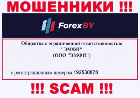 На сайте мошенников Forex BY опубликован именно этот номер регистрации данной компании: 192530878