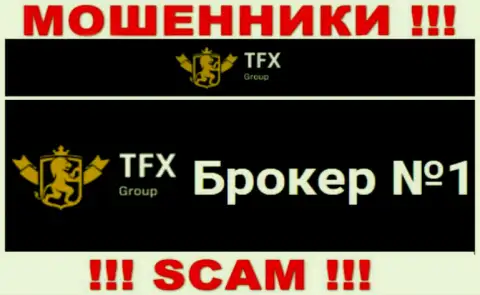 Не нужно доверять вложенные деньги TFX Group, т.к. их направление работы, FOREX, ловушка