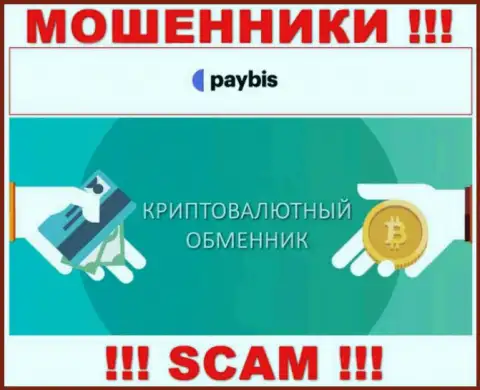 Крипто обменник - это вид деятельности мошеннической конторы PayBis