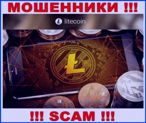 Связываться с LiteCoin Org крайне рискованно, т.к. их тип деятельности Криптовалютный сервис - это кидалово