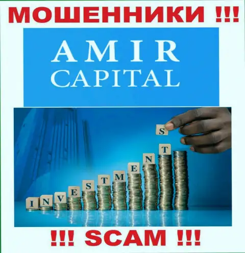 Не отправляйте денежные средства в Амир Капитал, тип деятельности которых - Инвестирование