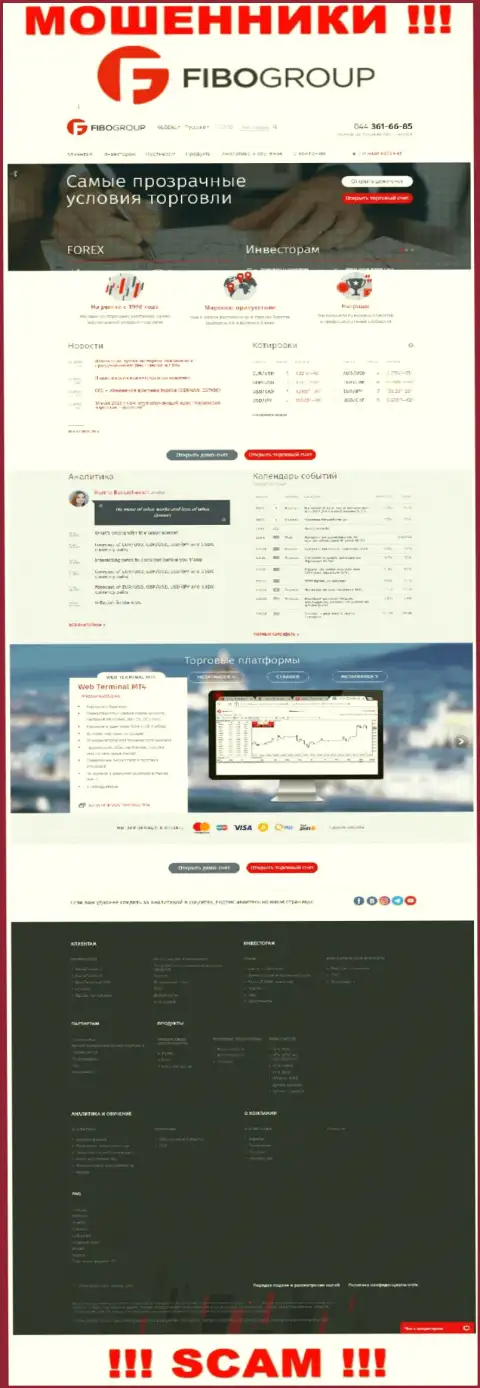 Вид официальной онлайн-страницы противозаконно действующей организации Fibo-Forex Ru