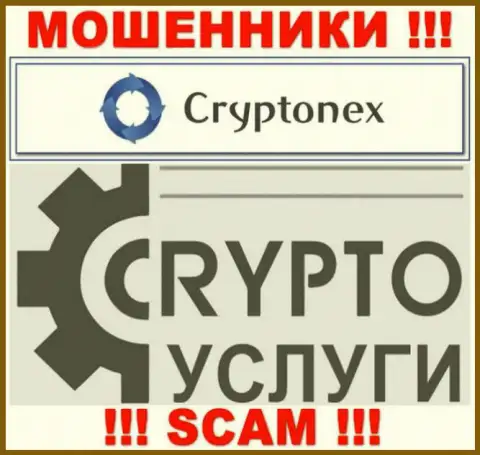 Связавшись с CryptoNex, область работы которых Крипто услуги, рискуете остаться без своих денег