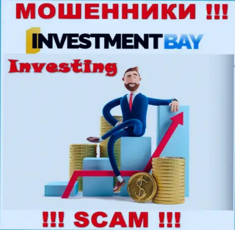 Не стоит верить, что область деятельности Investment Bay - Инвестиции легальна - это разводняк