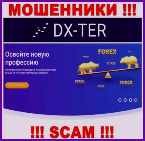 С организацией DX-Ter Com совместно сотрудничать крайне рискованно, их сфера деятельности ФОРЕКС - капкан