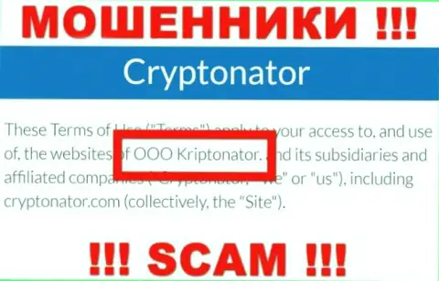 Организация Cryptonator находится под управлением компании OOO Криптонатор