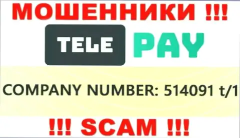 Номер регистрации Теле Пай, который указан мошенниками на их интернет-ресурсе: 514091 t/1