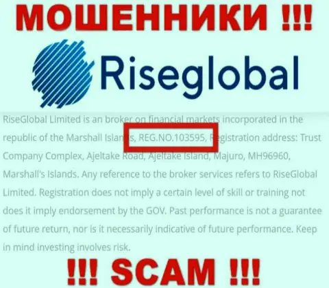 Номер регистрации RiseGlobal, который разводилы показали на своей web-странице: 103595