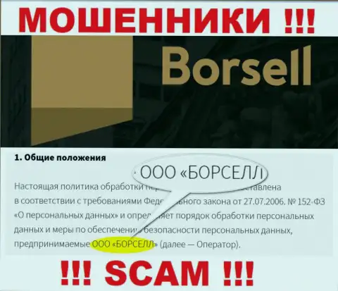 Мошенники Борселл Ру принадлежат юридическому лицу - ООО БОРСЕЛЛ