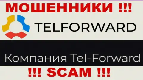 Юридическое лицо Тел-Форвард - это Tel-Forward, такую информацию расположили мошенники на своем сайте