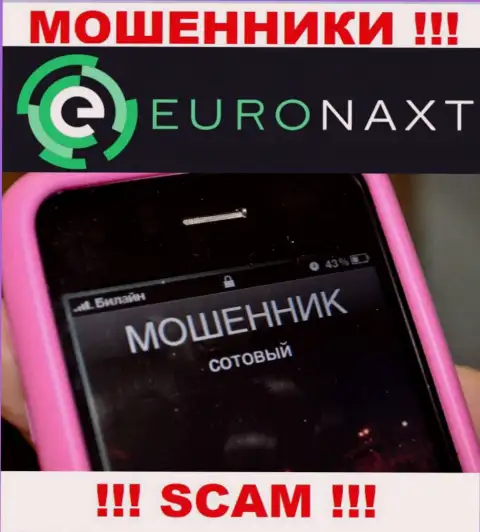 Вас намерены развести на деньги, EuroNax ищут очередных лохов