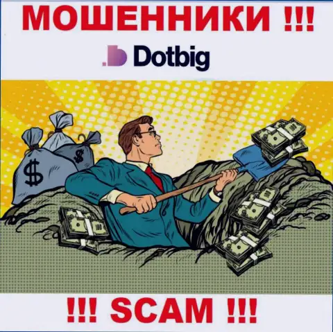 DotBig работает лишь на сбор денежных средств, так что не надо вестись на дополнительные вклады