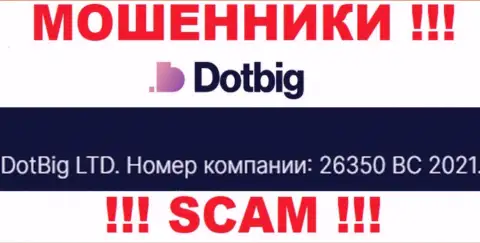 Рег. номер обманщиков Dot Big, расположенный ими у них на информационном портале: 26350 BC 2021