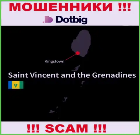 ДотБиг ЛТД имеют оффшорную регистрацию: Kingstown, St. Vincent and the Grenadines - будьте крайне бдительны, ворюги