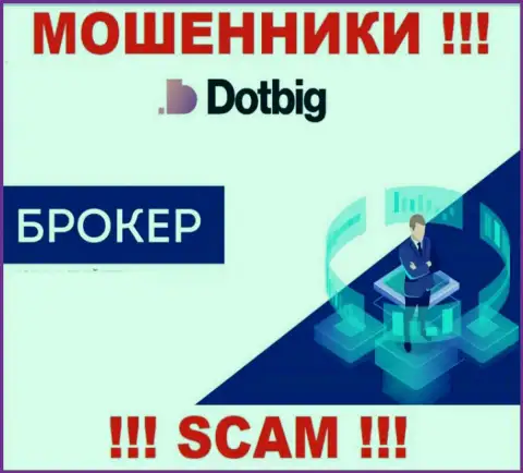 DotBig Com - это ВОРЫ, сфера деятельности которых - Broker