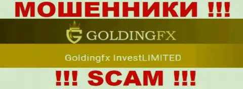 Goldingfx InvestLIMITED владеющее организацией ГолдингФХИкс Нет