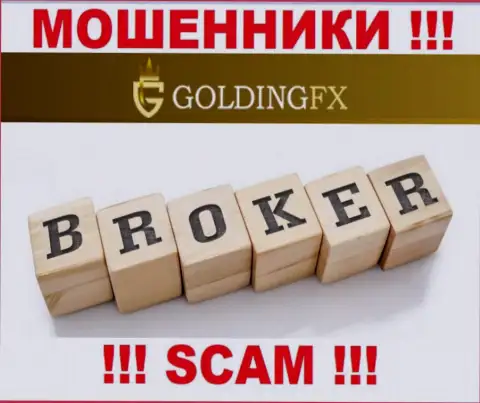 Брокер - это то, чем занимаются internet мошенники Golding FX