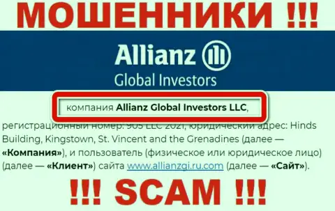 Компания Allianz Global Investors LLC находится под крышей компании Allianz Global Investors LLC