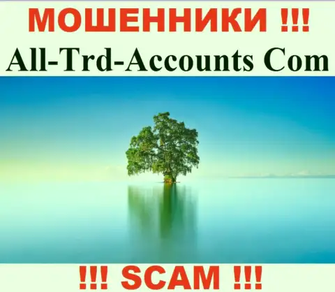 All-Trd-Accounts Com сливают финансовые активы и выходят сухими из воды - они спрятали информацию о юрисдикции
