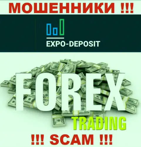 Форекс - это тип деятельности незаконно действующей компании Expo Depo