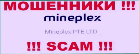 Владельцами MinePlex оказалась организация - МинеПлекс ПТЕ ЛТД