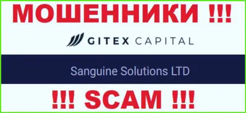 Юридическое лицо Sanguine Solutions LTD - это Сангин Солютионс ЛТД, именно такую инфу опубликовали ворюги на своем сайте
