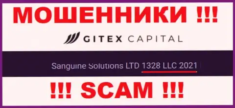Регистрационный номер конторы Gitex Capital - 1328LLC2021