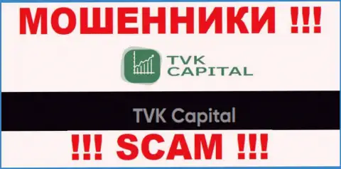TVK Capital - это юридическое лицо интернет-кидал ТВККапитал
