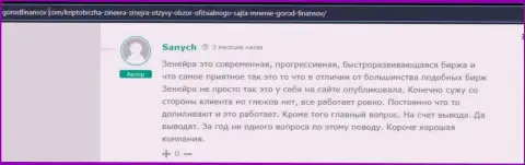 Отзыв реального биржевого трейдера брокерской организации Зинеера, взятый с веб-ресурса gorodfinansov com