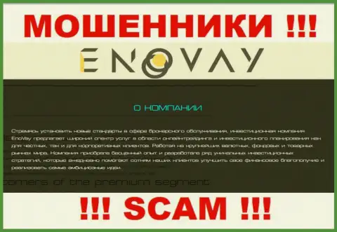 Поскольку деятельность интернет-разводил EnoVay Com - это обман, лучше совместного сотрудничества с ними избегать