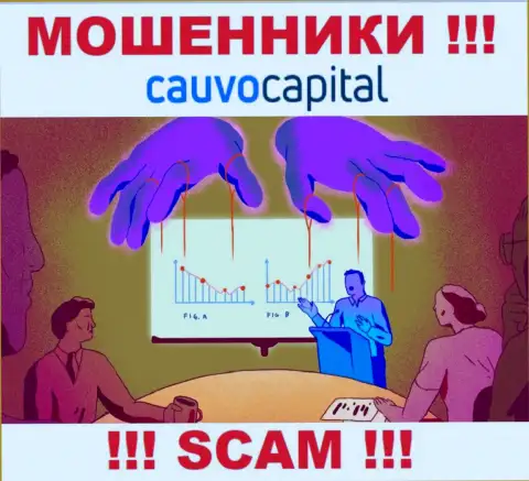 Опасно соглашаться работать с internet мошенниками Cauvo Capital, прикарманят депозиты