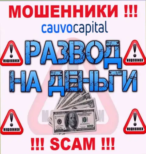 Даже и не надейтесь, что с компанией Cauvo Capital реально приумножить прибыль, Вас разводят
