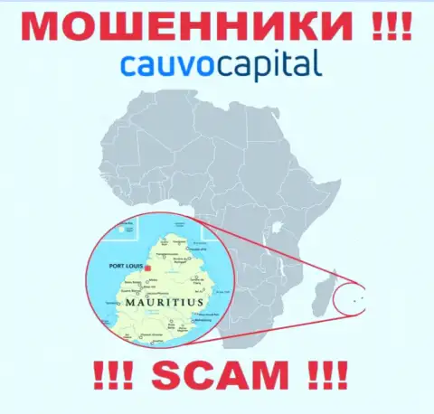 Компания Кауво Капитал похищает финансовые вложения людей, расположившись в оффшоре - Mauritius