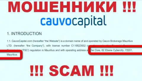 Невозможно забрать назад денежные вложения у организации Кауво Капитал - они сидят в офшоре по адресу The Core, 62 Ebene Cybercity, 72201, Mauritius