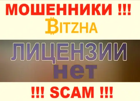 Ворюгам Bitzha24 Com не выдали лицензию на осуществление их деятельности - прикарманивают вложения