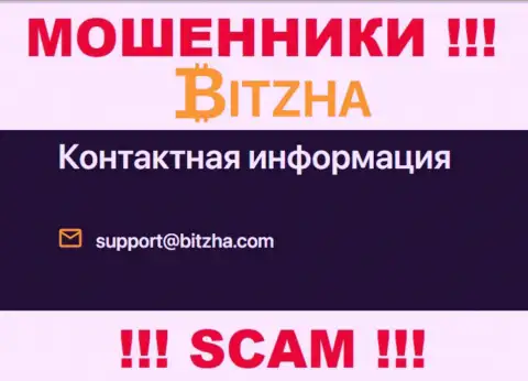 Электронный адрес ворюг Bitzha24 Com, инфа с официального информационного сервиса