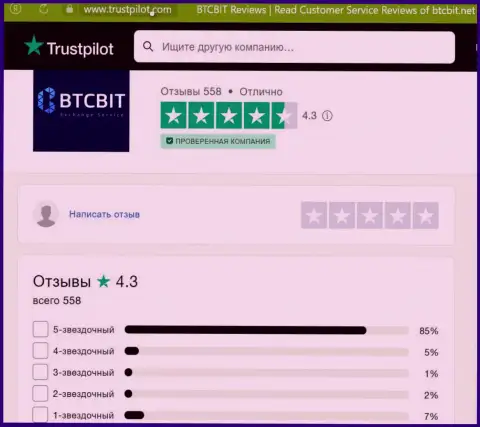 Оценка качества услуг обменного онлайн-пункта BTCBit Net на сайте Трастпилот Ком